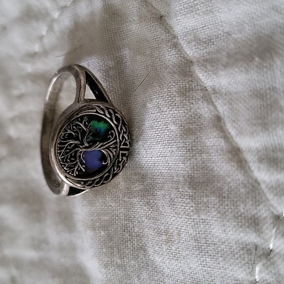 SS ring - Picture 1 of 3